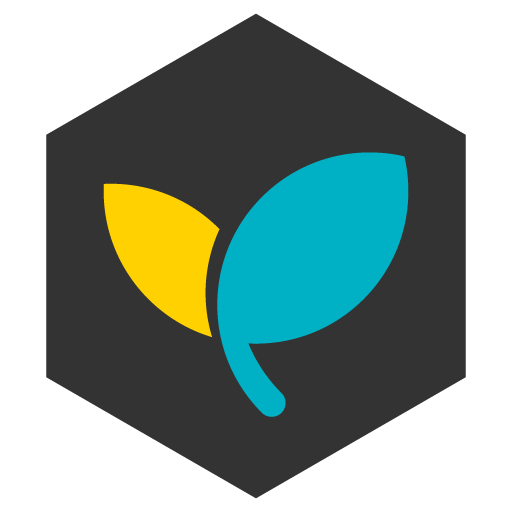DebtSafe